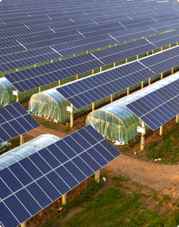 greenhouses-and-solar-panels